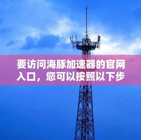 要访问海豚加速器的官网入口，您可以按照以下步骤操作